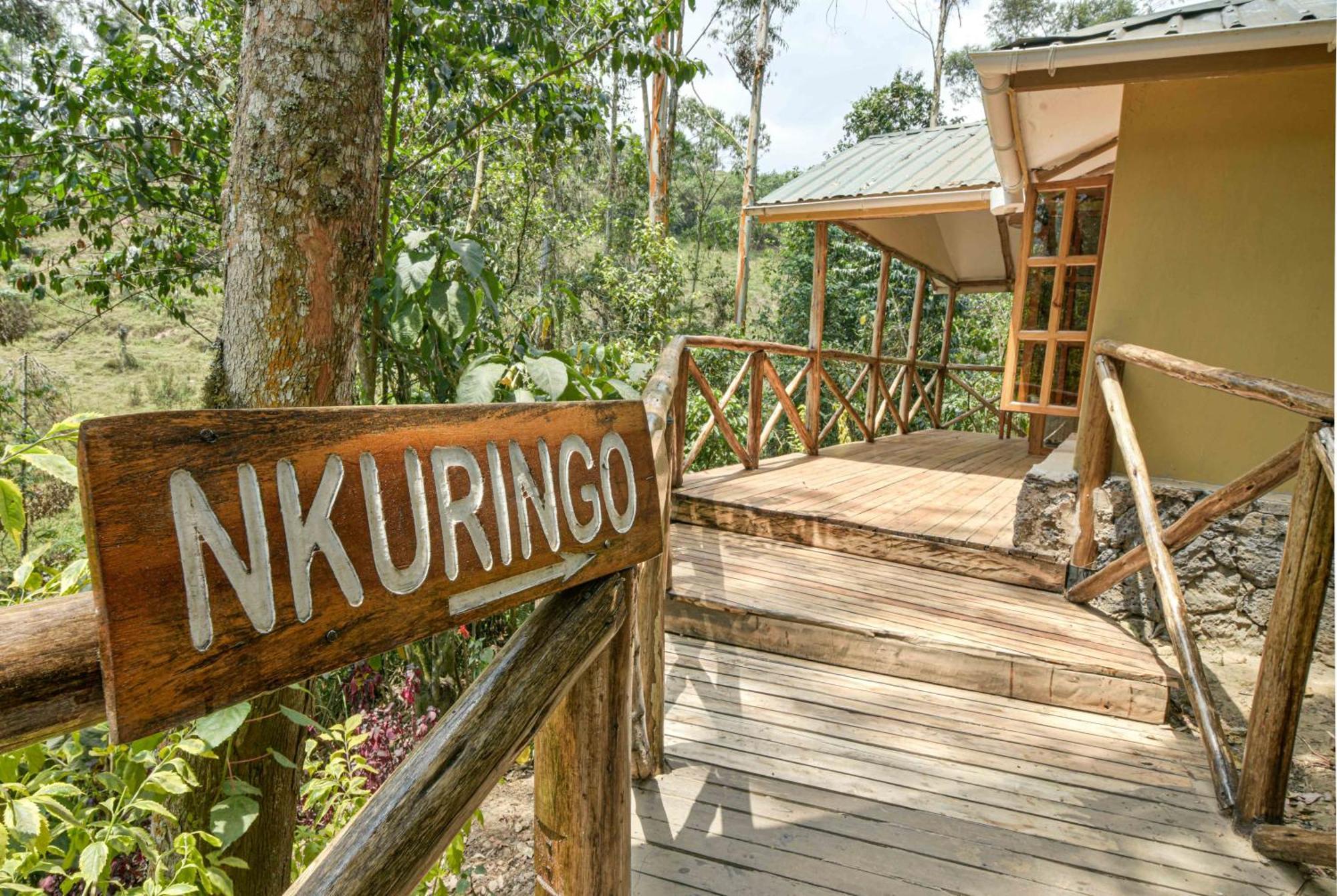 Gorilla Safari Lodge Rubuguli Εξωτερικό φωτογραφία