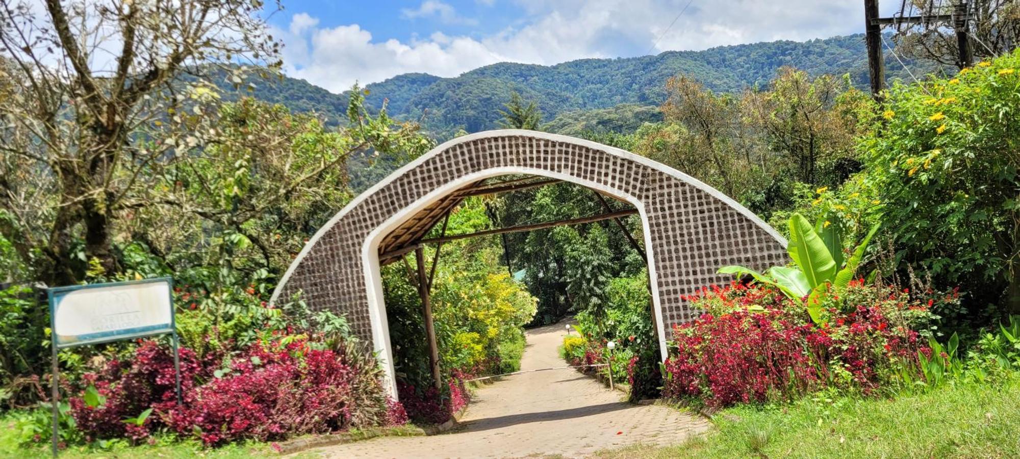 Gorilla Safari Lodge Rubuguli Εξωτερικό φωτογραφία